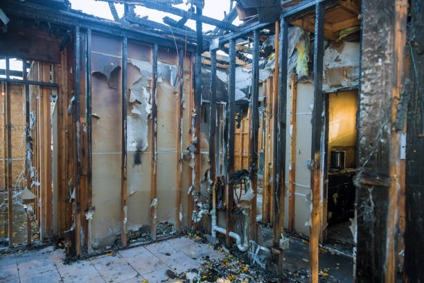 Professional Odor Removal technician working in North Webster, IN